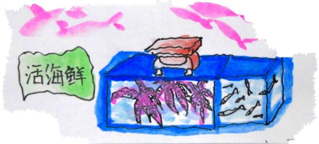 韩国济州岛旅游图片大全,济州岛手绘