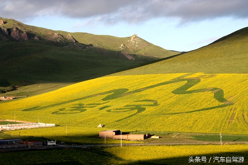 洛克之路卓尼段是从哪到哪,洛克之路路过卓尼县吗