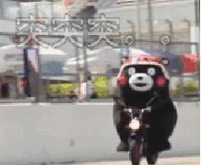 奇葩和逗比的区别,奇葩和乱七八糟有什么区别