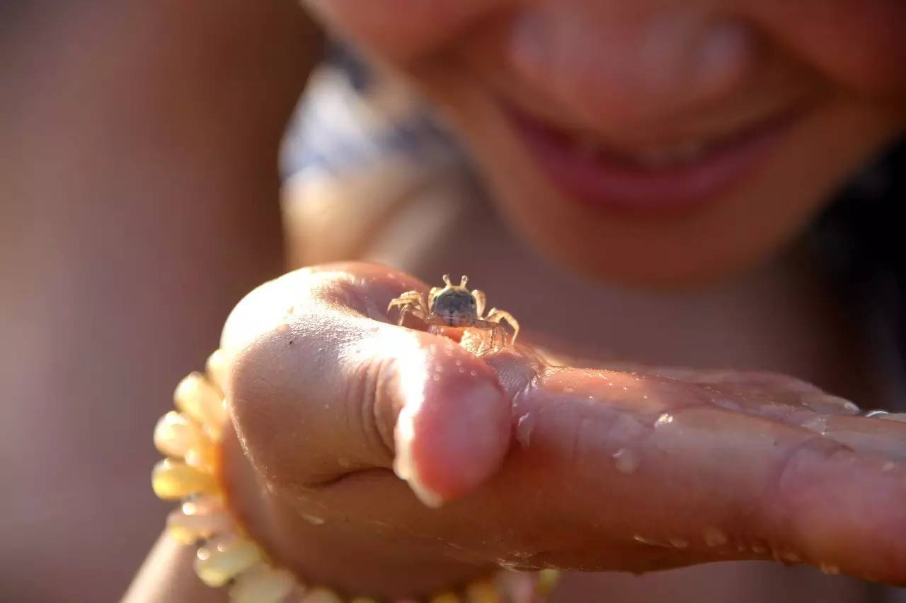 路虎揽胜漳州,揽胜海洋之心
