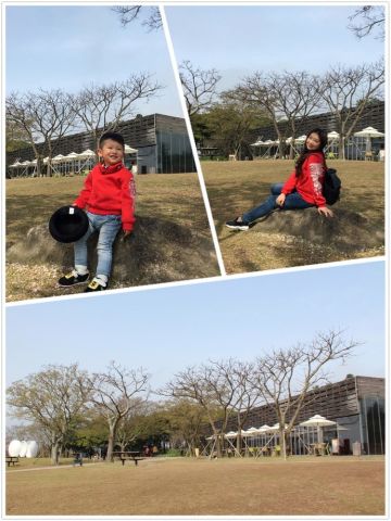 韩国济州岛带娃旅游攻略,首尔和济州岛哪个适合亲子游