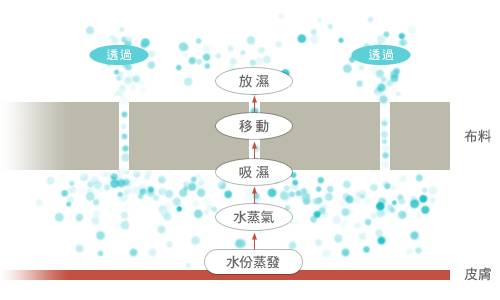 吸湿排汗运动服推荐,运动服是纯棉的好还是速干的好