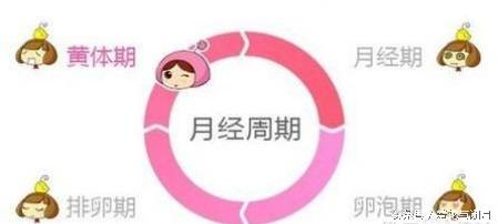 排卵性出血和着床出血的区别,排卵性出血是已经排完卵了吗