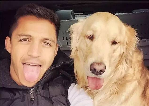 七夕节单身狗千万别出门拍火车,七夕节单身狗做什么