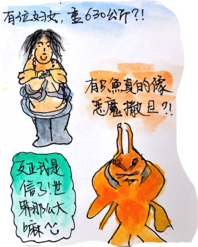 韩国济州岛旅游图片大全,济州岛手绘