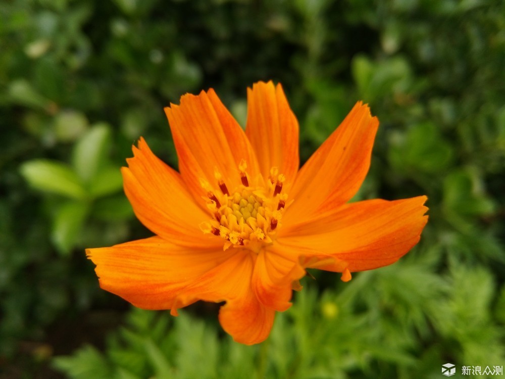 比红米note3好的千元机,比红米还具性价比的手机