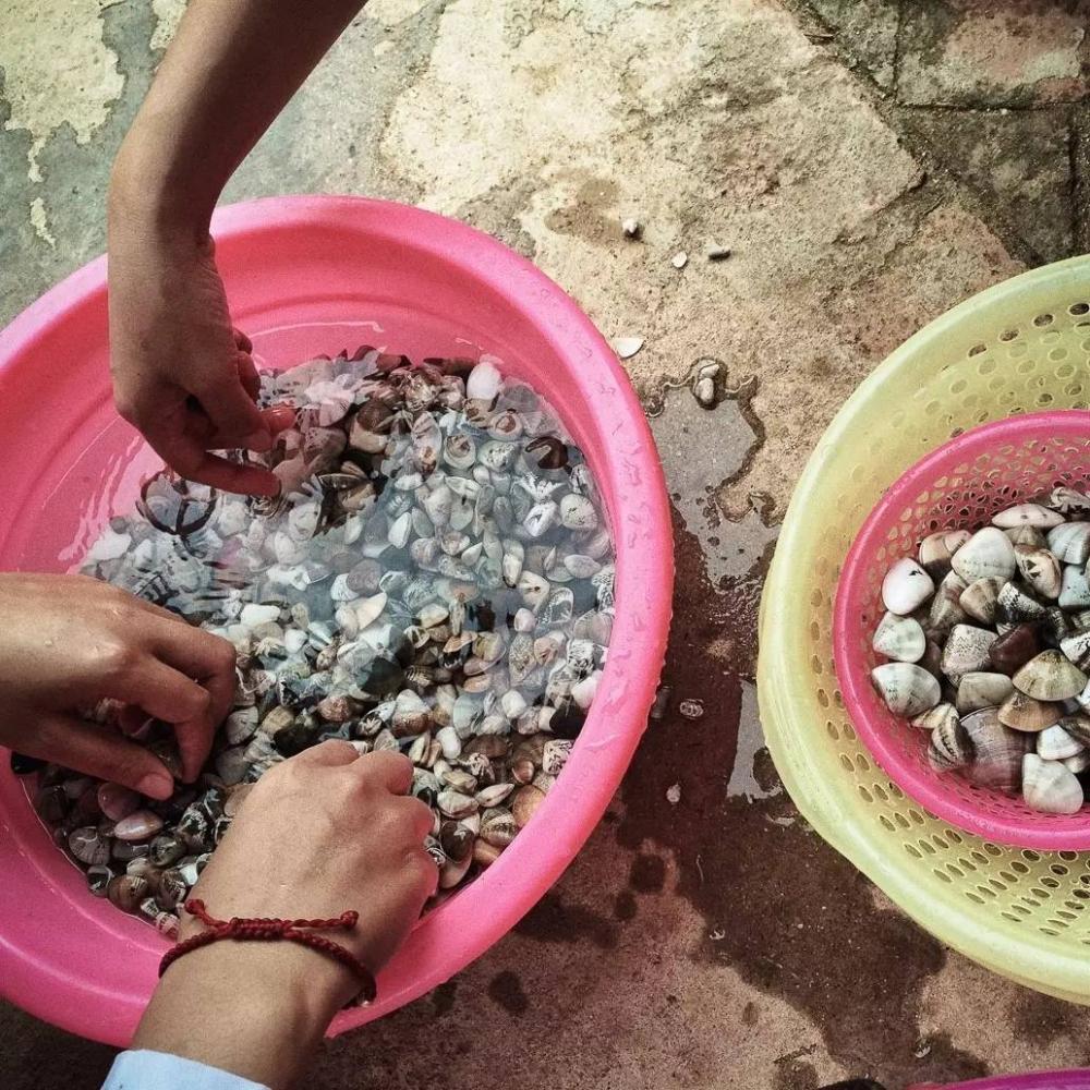 里约大冒险旅行,里约大冒险巴西旅游