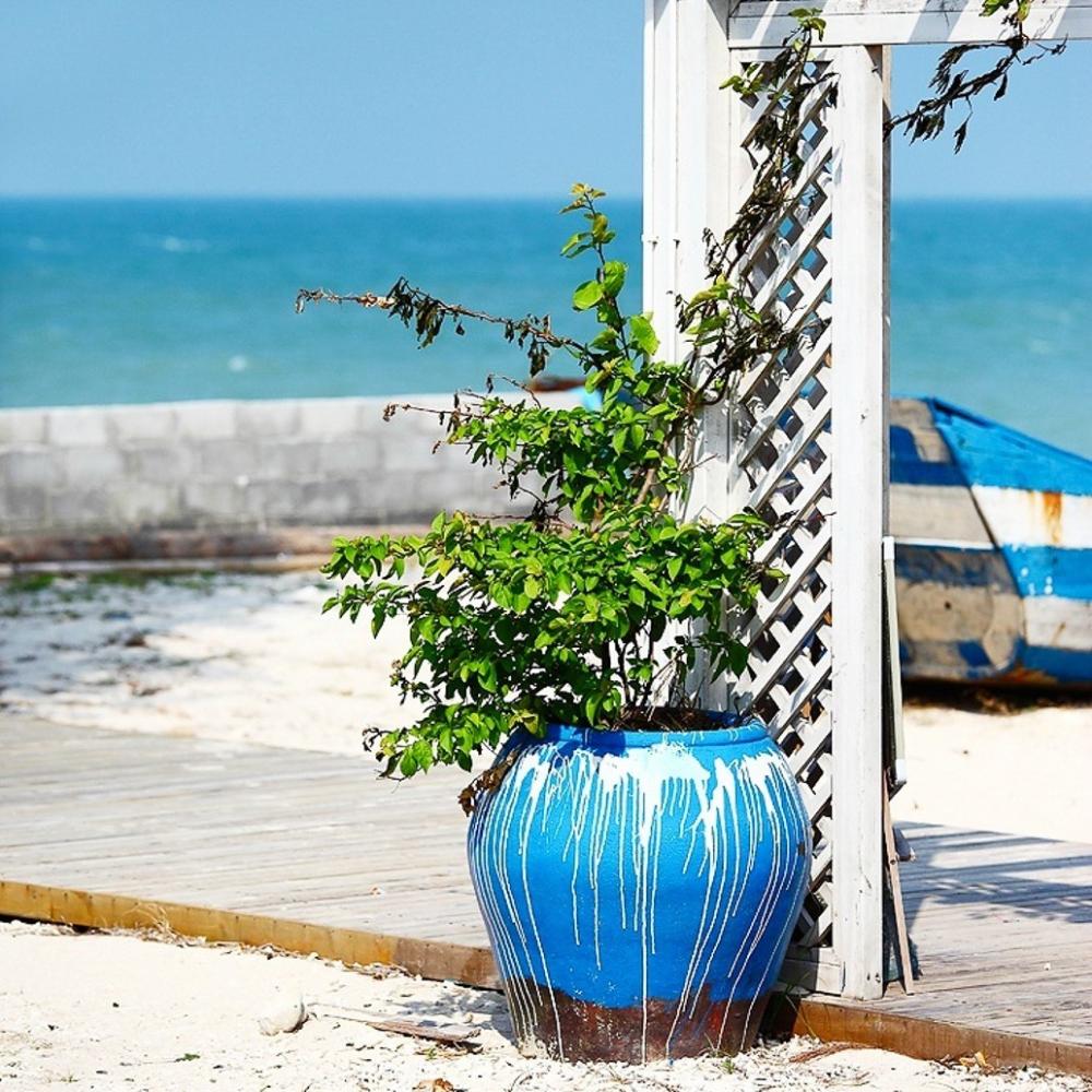 里约大冒险旅行,里约大冒险巴西旅游