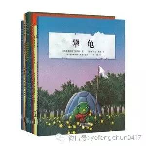 苍蝇和大象的足球赛故事ppt,苍蝇和大象的足球赛读后感