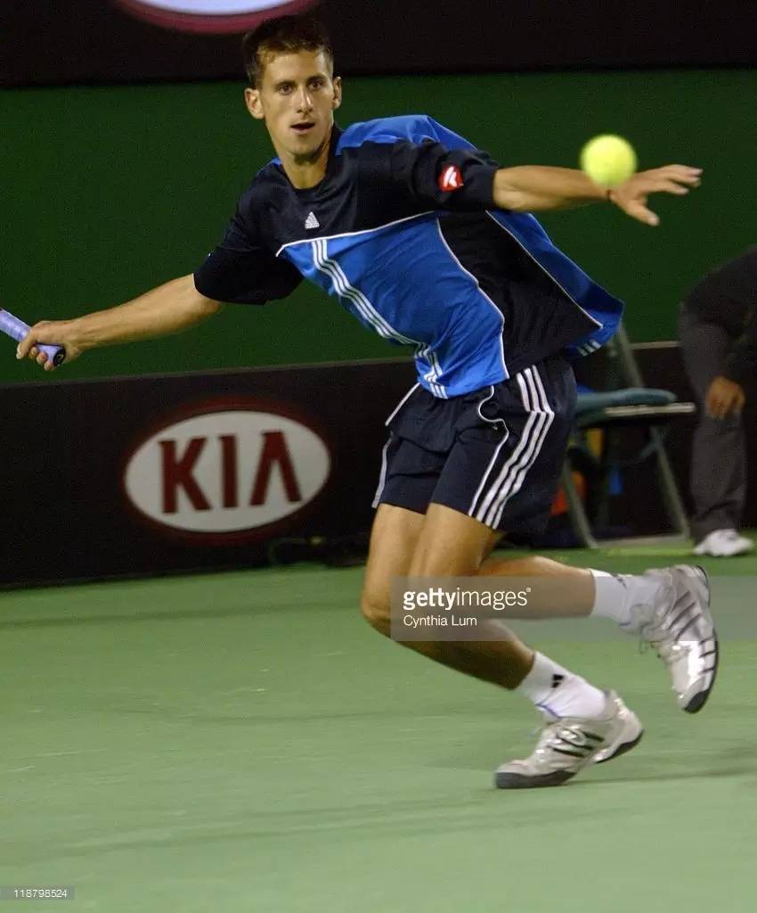 网坛四巨头是什么意思,网坛四巨头冠亚军对比