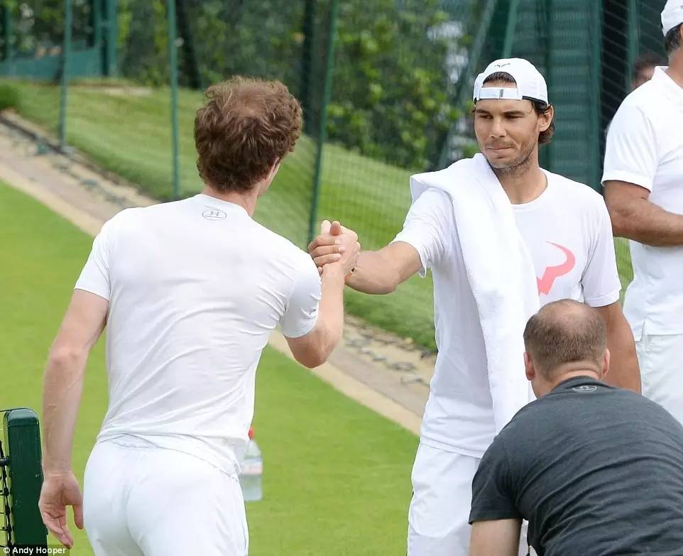 网坛四巨头是什么意思,网坛四巨头冠亚军对比