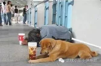 抗日剧日本足球队阵亡,日本足球感谢祭