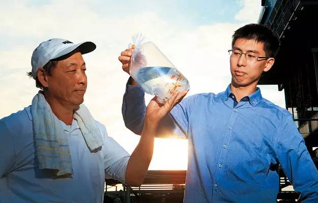 世界第一！台湾屏东水族王国靠出口观赏鱼虾年赚上亿