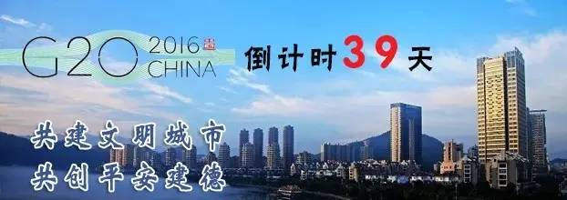 多肉包邮免费送,可爱多肉组合