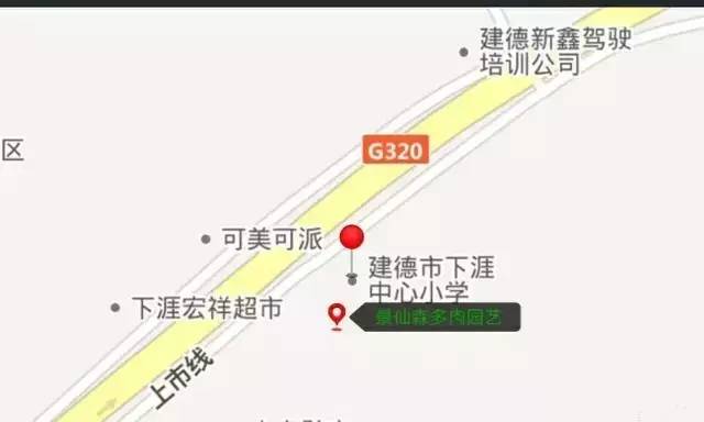 多肉包邮免费送,可爱多肉组合