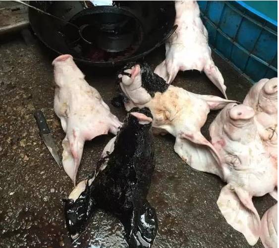 敷了黑面膜的猪头肉光溜溜没毛，看起来干净，实则看完你还敢吃吗？