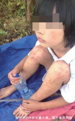 温网新闻2018,温网新闻2017