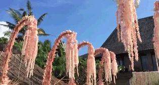 霍建华林心如婚礼吴奇隆刘诗诗,霍建华林心如婚礼背景音乐是什么