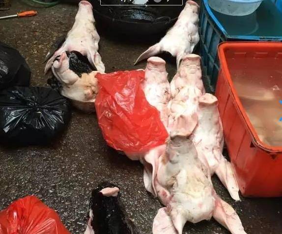 敷了黑面膜的猪头肉光溜溜没毛，看起来干净，实则看完你还敢吃吗？
