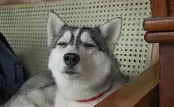 温网新闻2018,温网新闻2017