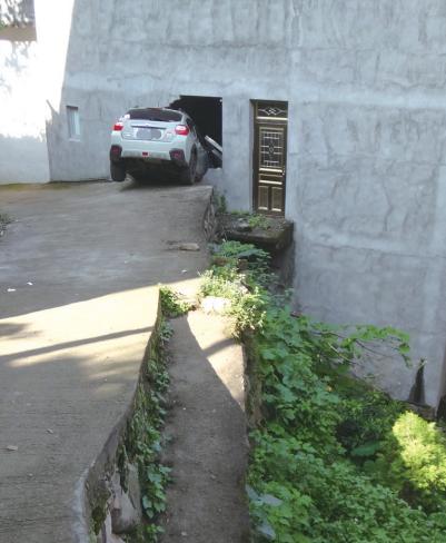 温网新闻2018,温网新闻2017