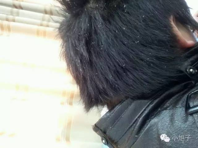 这些年我想吐槽的男同事|这种人竟然也有女朋友