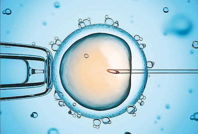 科普冷冻胚胎移植到底是个啥？移植方案该如何选择？|四版