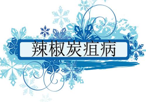 防治朝天椒炭疽病,辣椒炭疽病属于真菌还是细菌