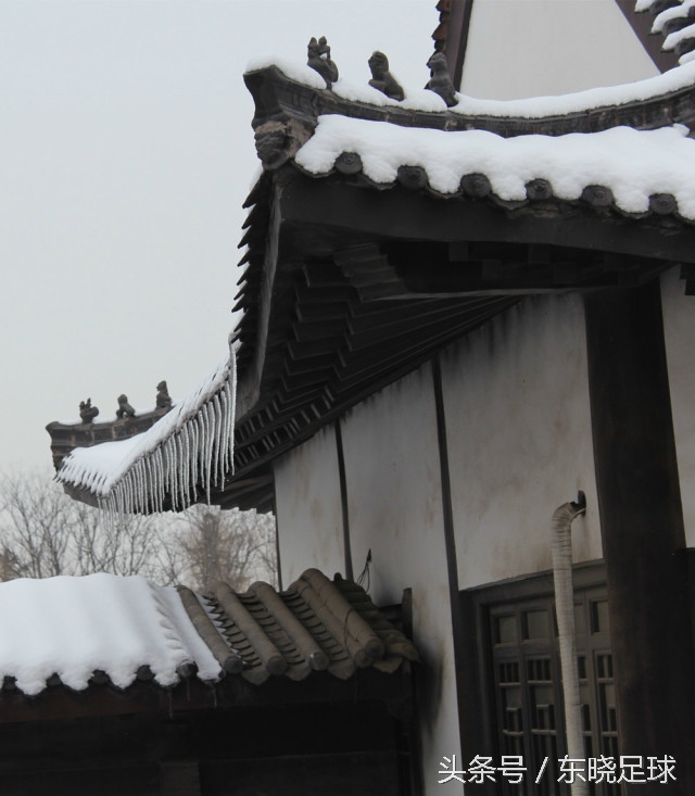 冬亦妖娆夏亦争艳临沂人民公园N分之一角