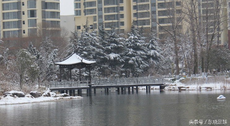 冬亦妖娆夏亦争艳临沂人民公园N分之一角