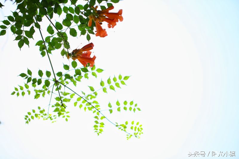 女人了解女人是什么意思,女人是怎么了解男人的