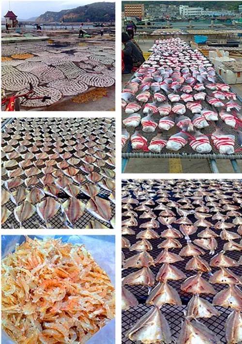 万山岛矶钓钓点,万山岛钓鱼最佳地点