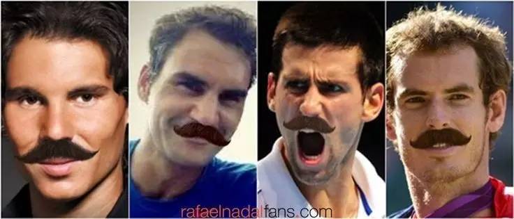 网坛四巨头是什么意思,网坛四巨头冠亚军对比