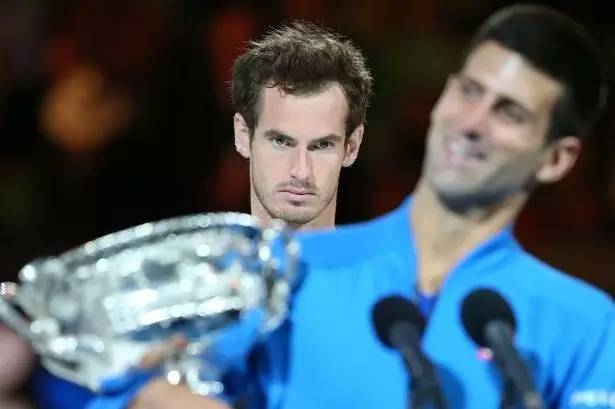 网坛四巨头是什么意思,网坛四巨头冠亚军对比