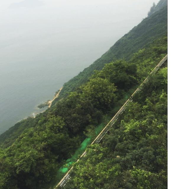 今天，我约了个少女带你玩香港