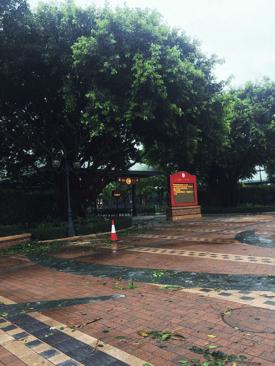 今天，我约了个少女带你玩香港