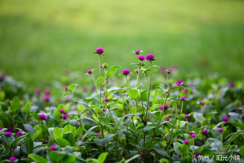 女人了解女人是什么意思,女人是怎么了解男人的