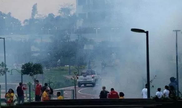 中国蚊帐在里约奥运村走红,巴西奥运会中国蚊帐