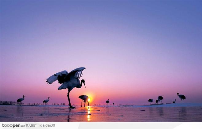 回顾各届奥运圣火,记忆奥运会时间地点口诀