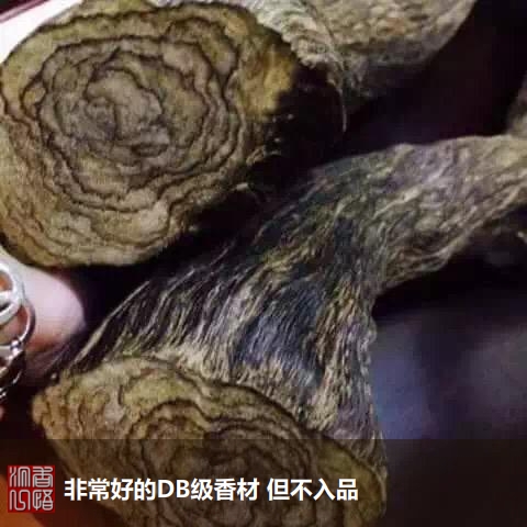 这位皇后有奶味马尼涝沉香柔和暖人-沉香基础知识20