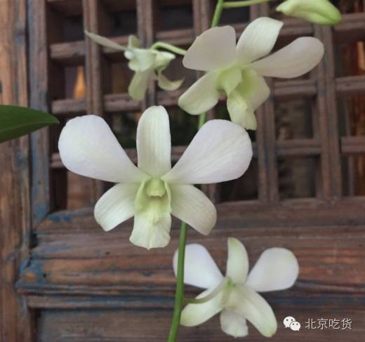 最近北京火爆排队的美食,北京人气爆棚烧烤