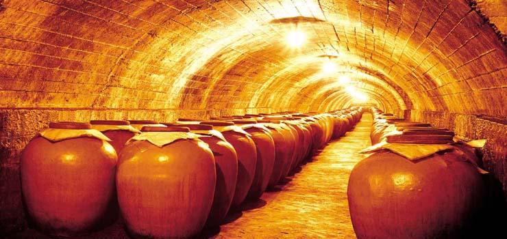 泸州老窖达人直播,泸州老窖直招