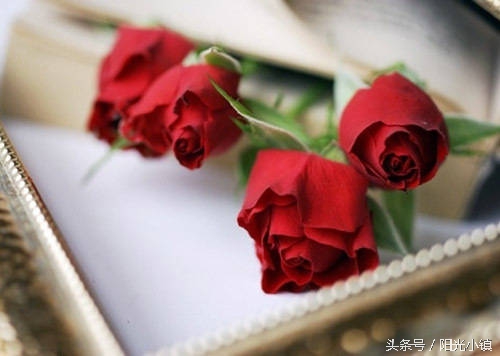 女人了解女人是什么意思,女人是怎么了解男人的