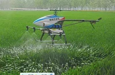 没有中国农产品出口，老外就活不下去？！