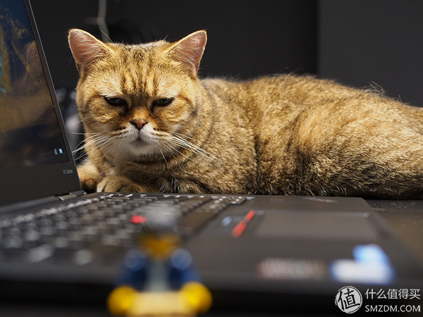 2016年的thinkpadx1平板笔记本,2016年thinkpadx1carbon更换硬盘