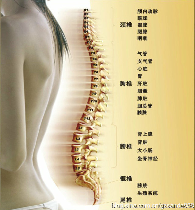 竹罐儿御医的非遗传承之路