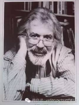 苍蝇和大象的足球赛故事ppt,苍蝇和大象的足球赛读后感