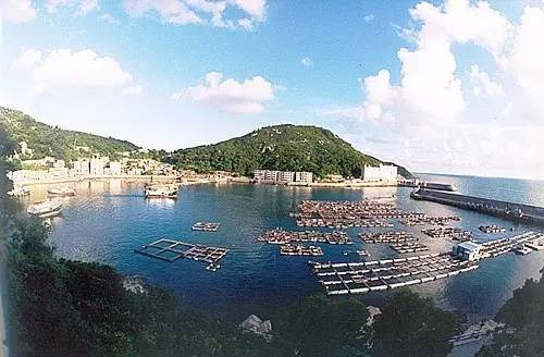 万山岛矶钓钓点,万山岛钓鱼最佳地点