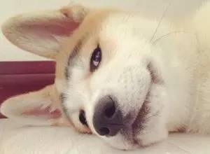 百度云总是显示网络异常怎么办,百度云资料丢失