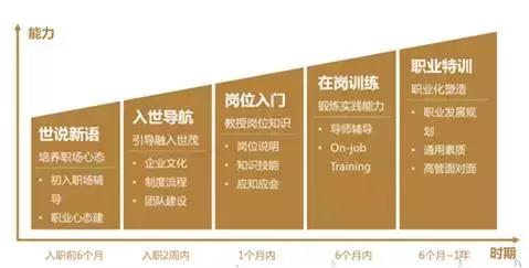 完善培养体系,健全培养体系